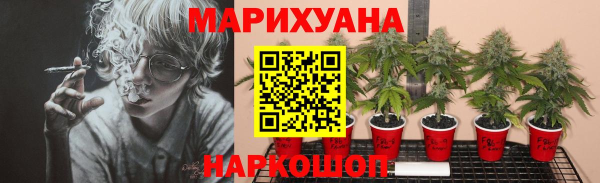 Каннабис сатива Нижневартовск